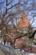 age-old tower hideing over the branch without leafs