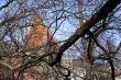 age-old tower hideing over the branch without leafs