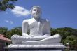 White Buddha
