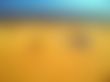 Abstract of beach horizon