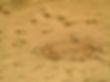 sandy background