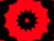 red petals on black