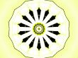lemon wheel