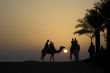 Silhouette of Camel rides in the desert