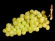 White grapes