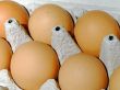 Fresh eggs
