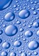 Raindrops