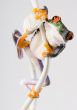 Red eyed frog
