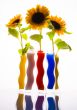 Summer flower