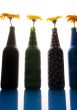 Colourful gerbers