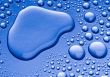 Fluid