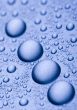 Fluid