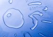 Water drops