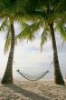 hammock