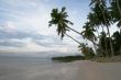 tropical paradise