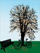 Bicycle and the tree