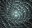 Gray circles