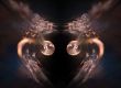 Glowworms