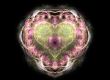 Heart of the girl