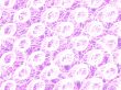 abstract design