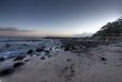 Morning at Forster