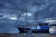 Morning at Forster