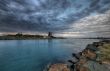 Morning at Forster