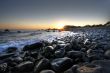Morning at Forster