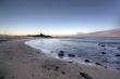 Morning at Forster