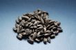 Sunflower seeds