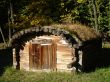 Old Shed