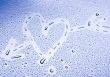 Love & Water