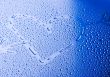 Love & Water
