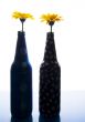 Gerbera