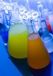 Laboratory