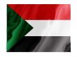 Sudan fluttering