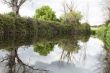 Lush riverbank