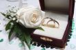 Wedding rings and rose