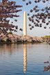 Washington Monument reflected in basin