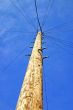 Telegraph Pole
