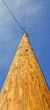 Telegraph Pole
