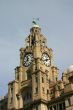 Liver Buildings