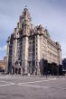 Liver Buildings