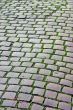 Old Cobbles with Green Moss