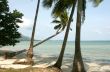tropical beach