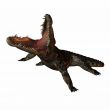 Crocodile