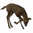 3D Fawn