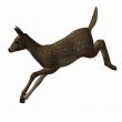 3D Fawn