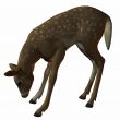 3D Fawn