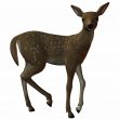 3D Fawn